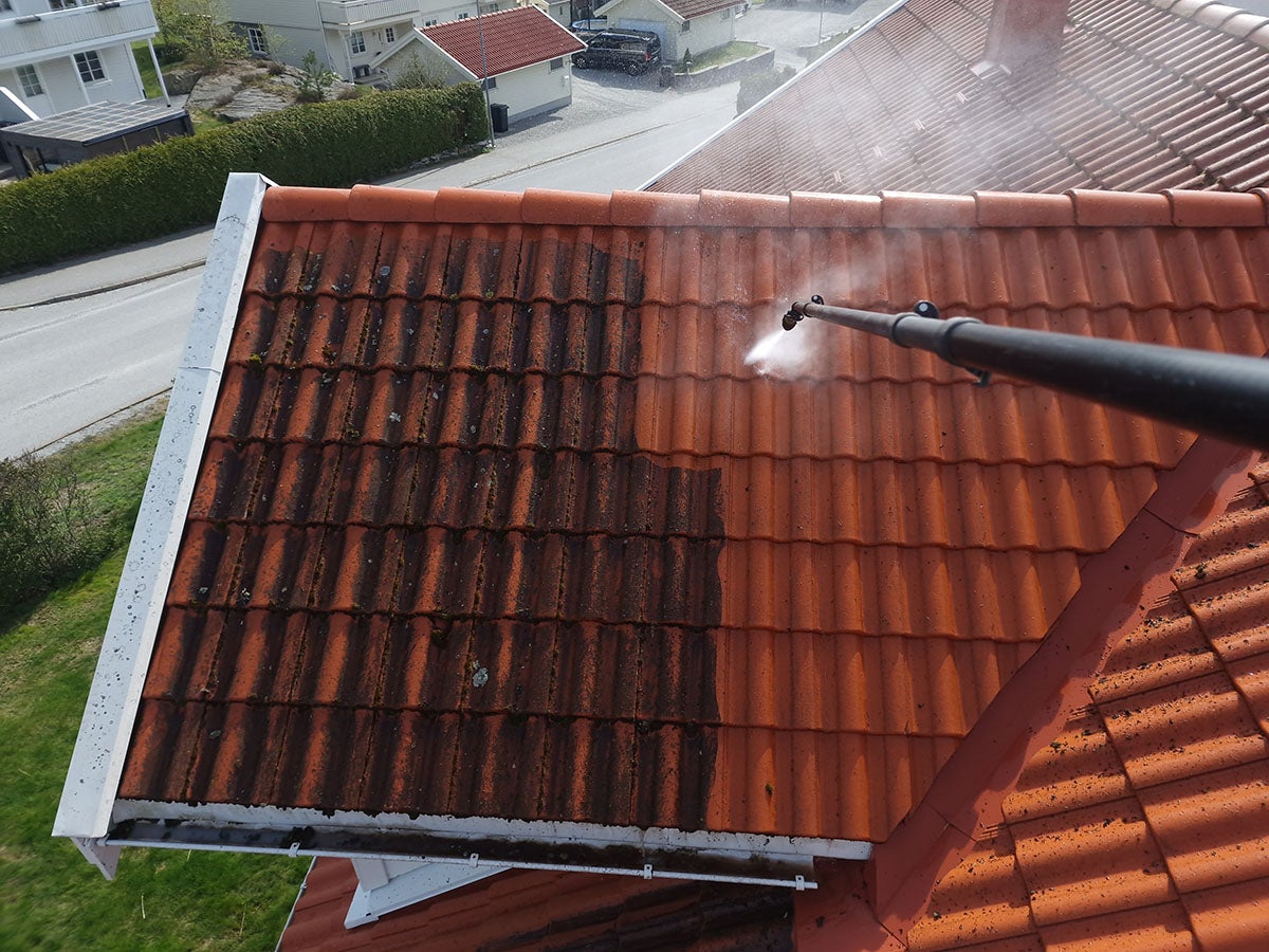 Roof cleaning